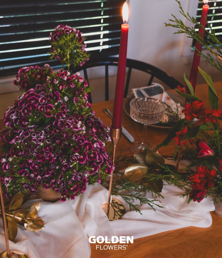 Buegundy Dianthus Ball arranged in pottery beside red taper candles on a holiday table.